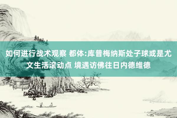 如何进行战术观察 都体:库普梅纳斯处子球或是尤文生活滚动点 境遇访佛往日内德维德