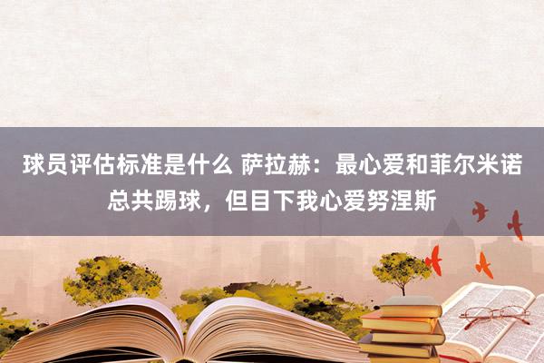 球员评估标准是什么 萨拉赫：最心爱和菲尔米诺总共踢球，但目下我心爱努涅斯