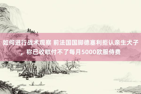 如何进行战术观察 前法国国脚德塞利拒认亲生犬子，称已收歇付不了每月5000欧服侍费