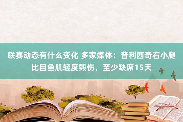 联赛动态有什么变化 多家媒体：普利西奇右小腿比目鱼肌轻度毁伤，至少缺席15天