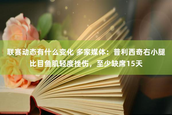 联赛动态有什么变化 多家媒体：普利西奇右小腿比目鱼肌轻度挫伤，至少缺席15天