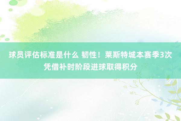 球员评估标准是什么 韧性！莱斯特城本赛季3次凭借补时阶段进球取得积分