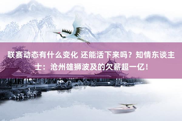 联赛动态有什么变化 还能活下来吗？知情东谈主士：沧州雄狮波及的欠薪超一亿！