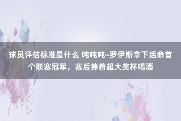 球员评估标准是什么 吨吨吨~罗伊斯拿下活命首个联赛冠军，赛后捧着超大奖杯喝酒