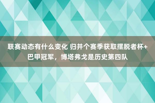 联赛动态有什么变化 归并个赛季获取摆脱者杯+巴甲冠军，博塔弗戈是历史第四队