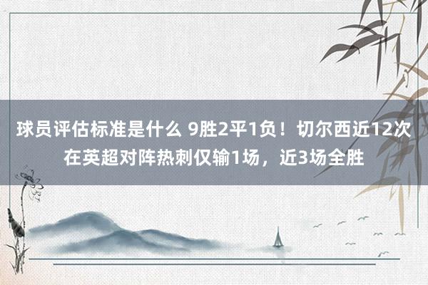 球员评估标准是什么 9胜2平1负！切尔西近12次在英超对阵热刺仅输1场，近3场全胜