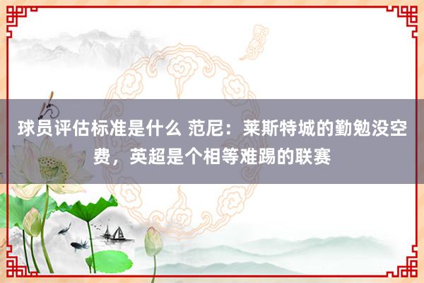 球员评估标准是什么 范尼：莱斯特城的勤勉没空费，英超是个相等难踢的联赛