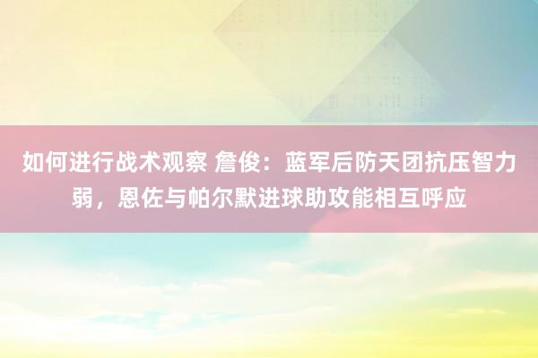 如何进行战术观察 詹俊：蓝军后防天团抗压智力弱，恩佐与帕尔默进球助攻能相互呼应