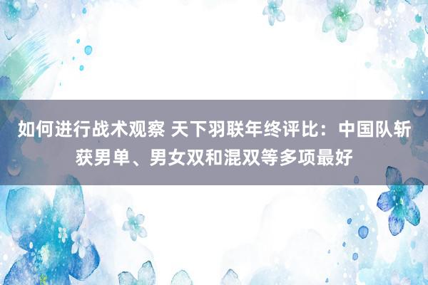 如何进行战术观察 天下羽联年终评比：中国队斩获男单、男女双和混双等多项最好